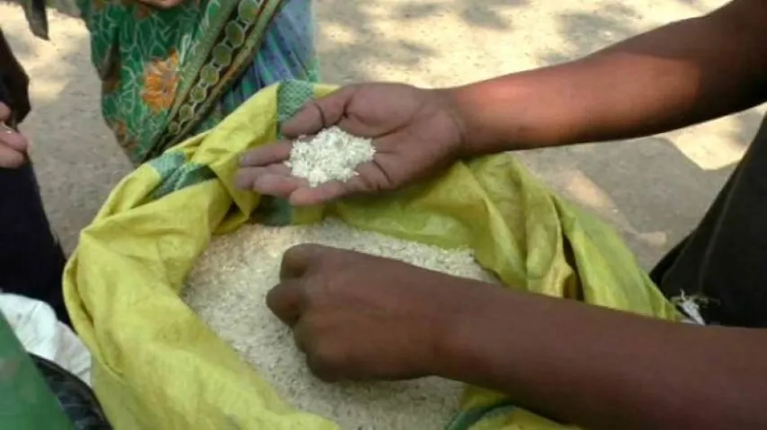 NFSA beneficiaries supplied insect-infested rice in Rayagada
