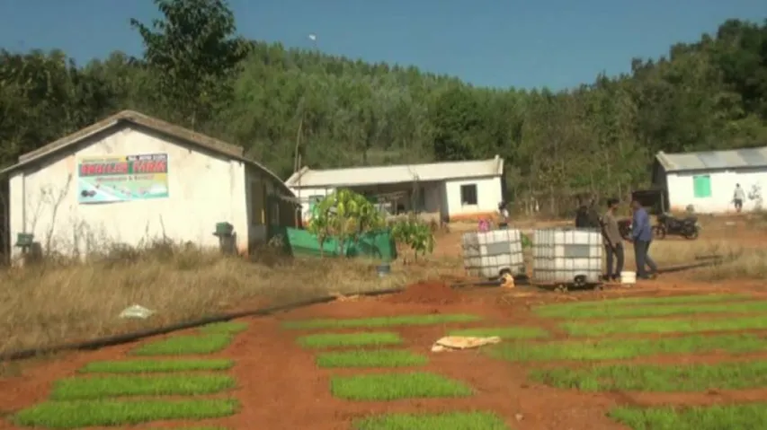 Odisha Cop-Turned-Farmer's Love Story With Integrated Farming
