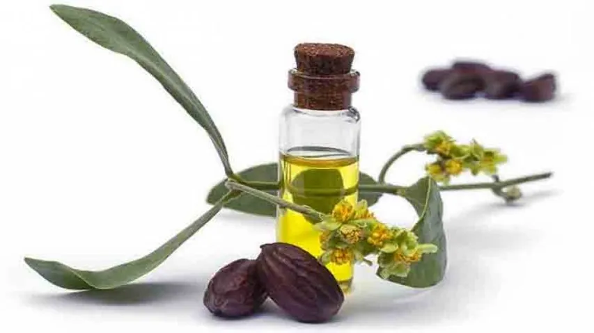 Suffering From Skin Problems? Try These 9 Home Remedies