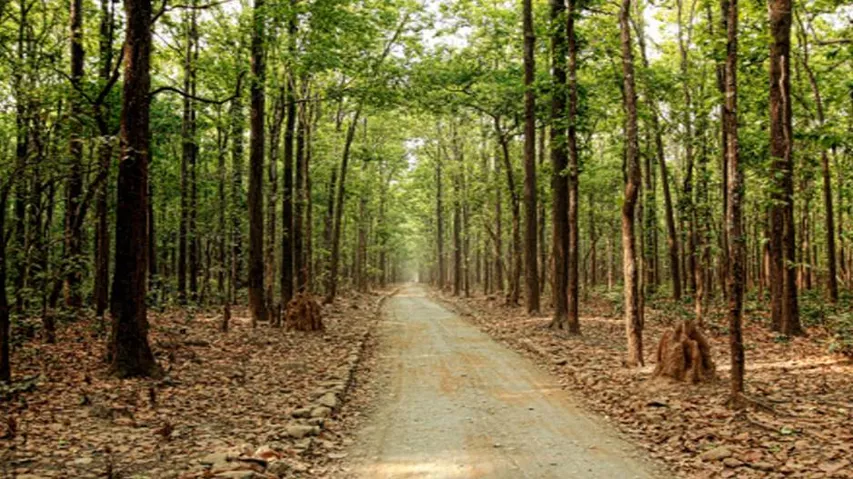 Rehabilitation of Kalagarh residents in a year: U'khand to NGT