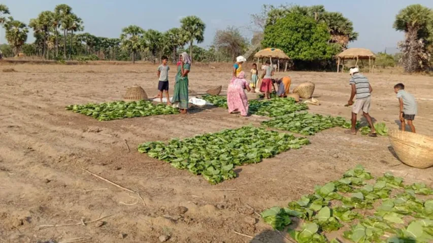 Odisha CM Announces Rs 92.37Cr Financial Assistance For Kendu Workers