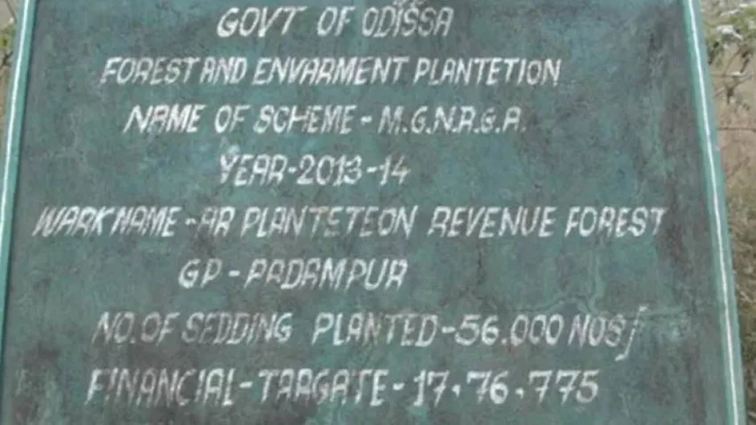 Only 56 Saplings In Place Of 56000, Locals Allege Corruption In Plantation Project