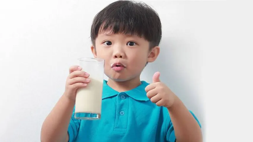 Full-Fat Dairy Products Not Linked To Weight Gain, High BP In Kids
