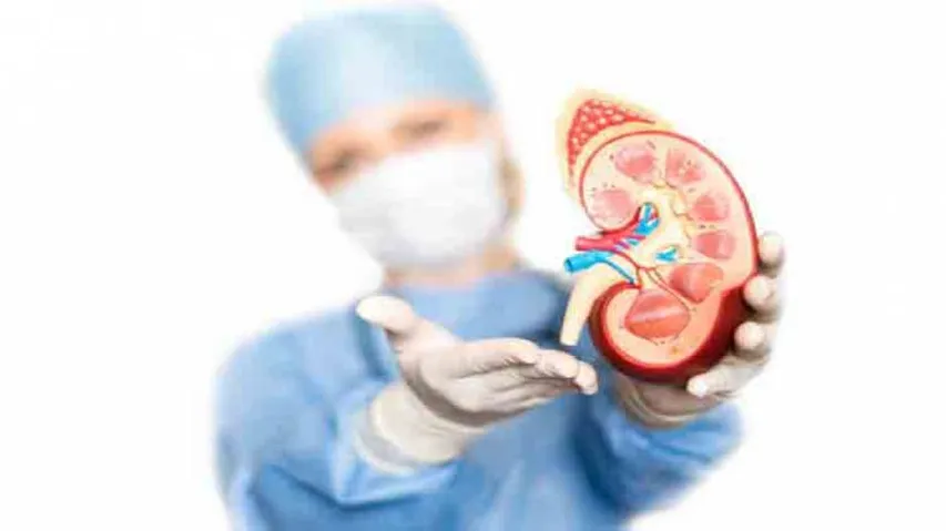 Processed meat, carbonated beverages may up kidney failure risk