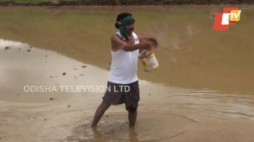 Covid-19 Pandemic: Odisha MLA Takes To Farming During Lockdown