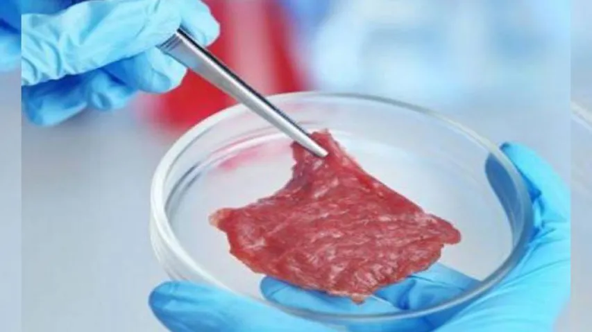 Indian Researchers Develop Lab Grown Meat