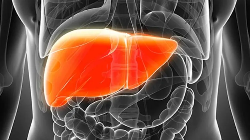 Hypertension drug shows promise in liver disease