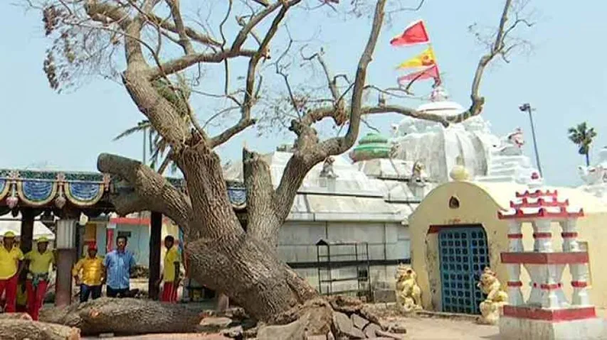 Cyclone Fani leaves a trail of devastation in Lokanath temple