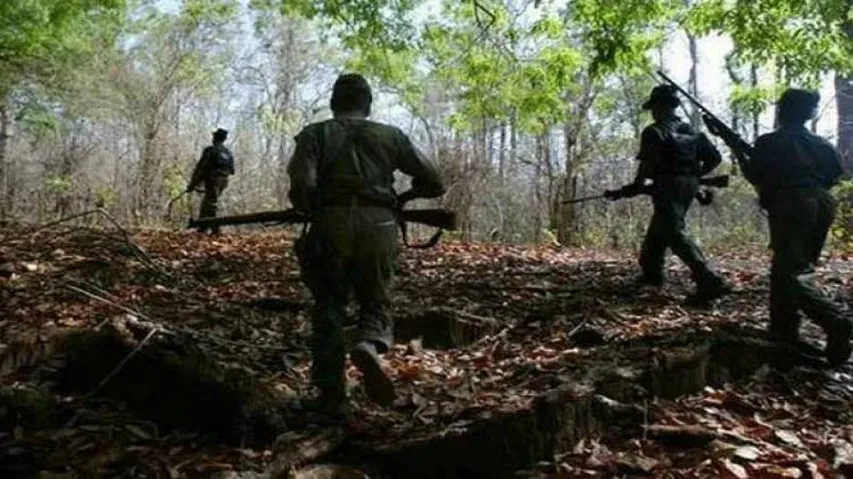 13 Naxals Killed In Encounter With Police In Maha's Gadchiroli