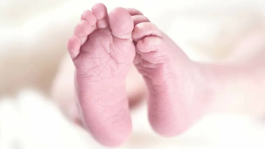At Nearly 60000, India Records Highest Number Of Babies Born On New Year's Day: UNICEF