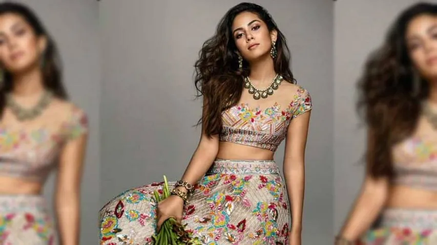 Shahid Kapoor's Wife Mira Rajput Slammed For Her Double Standards