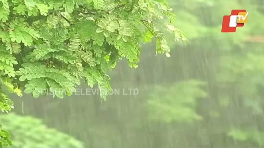 Several Parts Of Odisha Record Rain As Monsoon Remains Active