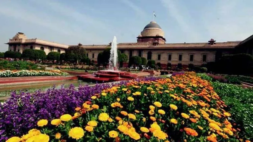 Mughal Gardens open from Feb 6, imported flowers main attraction