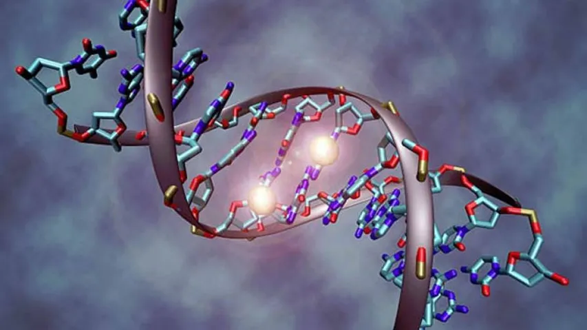 Multiple genes to blame for risk of asthma, eczema