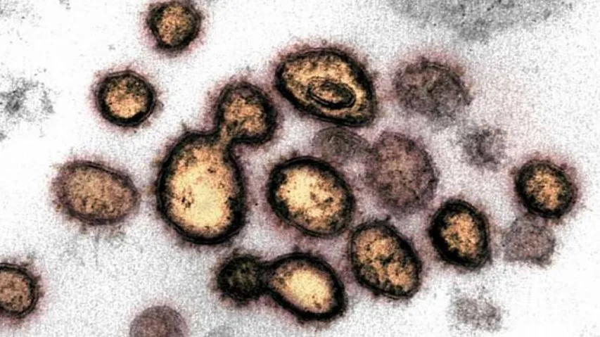 New Covid-19 Mutant Strain: Odisha Govt Asks Dist Authorities For Strict Surveillance Of UK Returnees