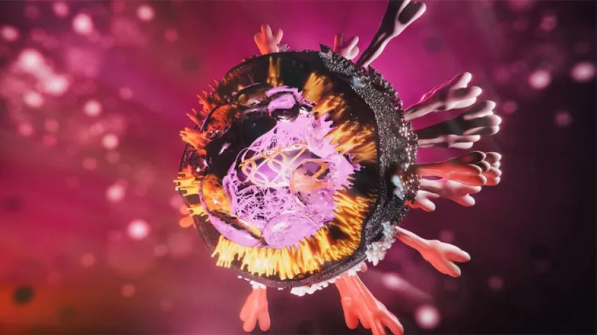 Know Why Some COVID Strains Are More Infectious Than Others