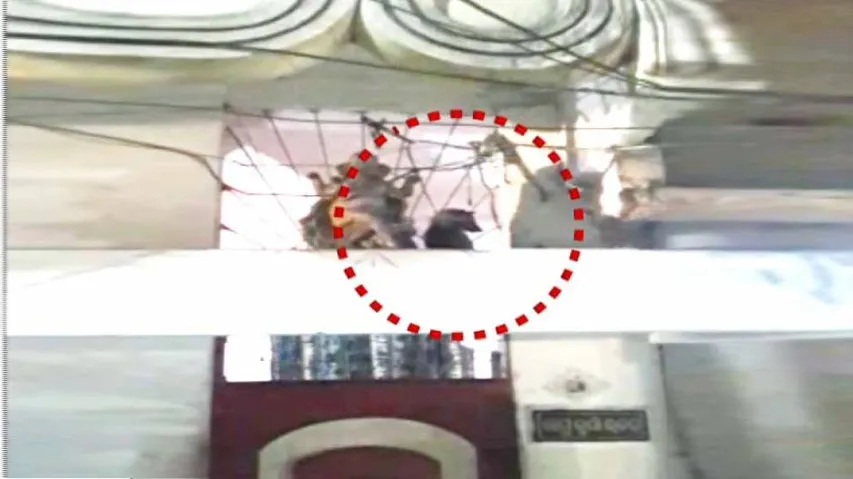 Mysterious animal on prowl again in Cuttack!