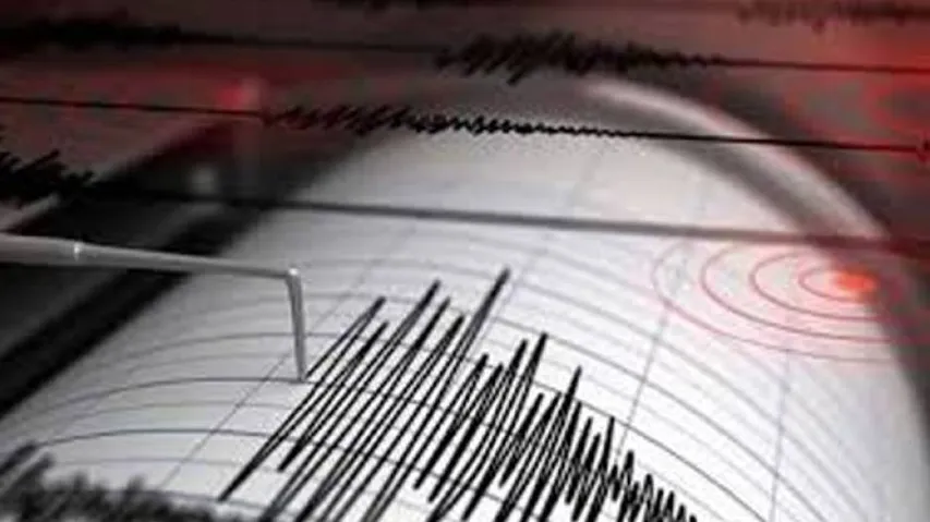 No Need For Panic Over Delhi Tremors: NCS Director