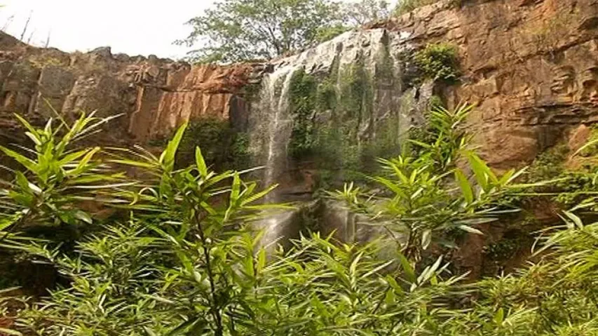 Pay Rs 10 Lakh Fine Every Month: Odisha Penalised For Missing NGT Deadline