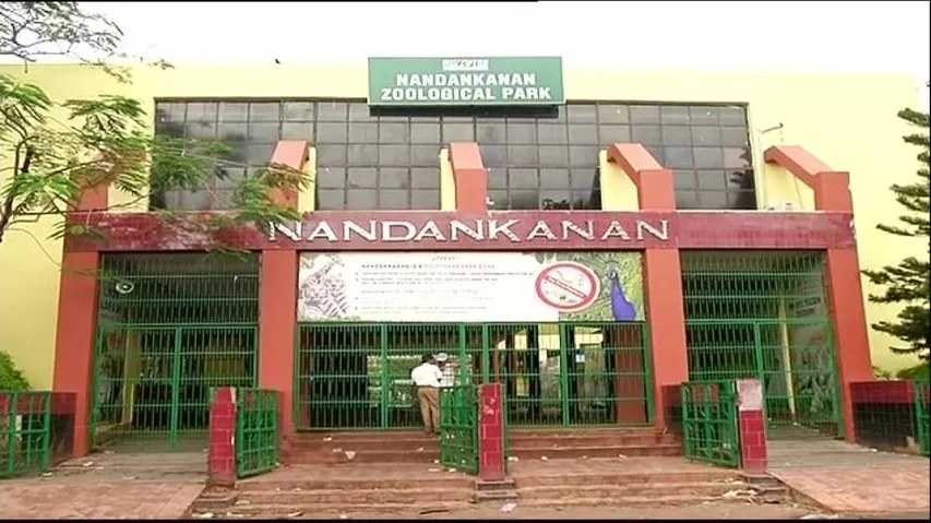 Nor’wester wreaks havoc in Nandankanan, zoo closed