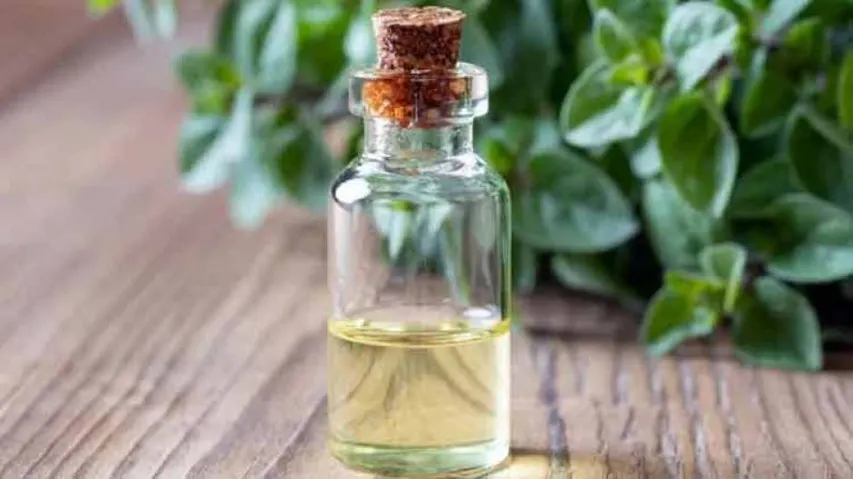 How To Prepare Natural Mosquito Repellent At Home?