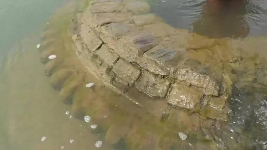 Centuries-Old Temple Submerged In Mahanadi River Resurfaces