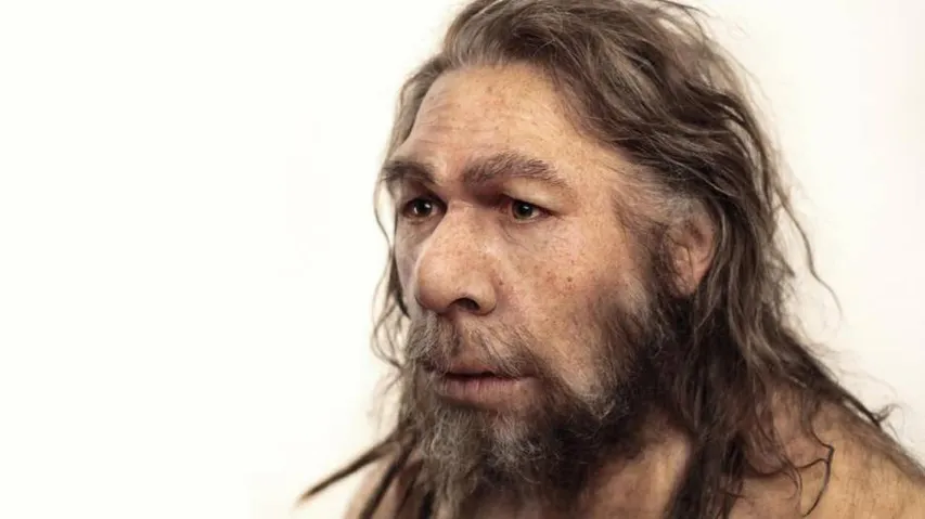 Neanderthal DNA may have shaped our modern looks