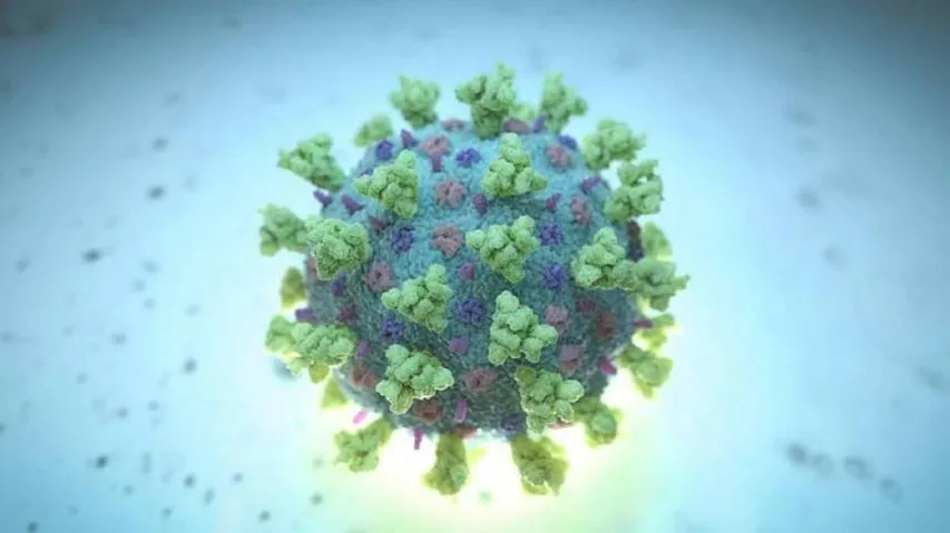 Mutant Coronavirus Scare: UK Returnee Tests Positive In Odisha