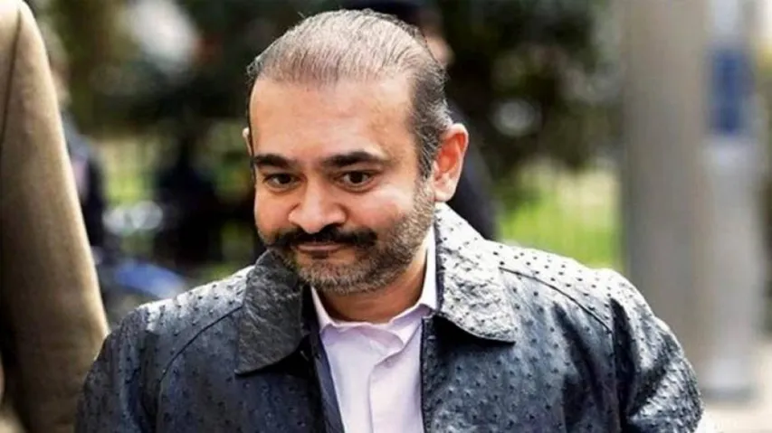 DRT raps Nirav Modi, orders him to pay Rs 7,200 crore to PNB, others