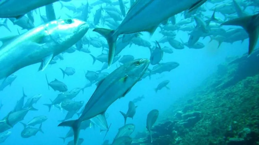 India to join developed nations in ocean studies with'Samudrayaan' project