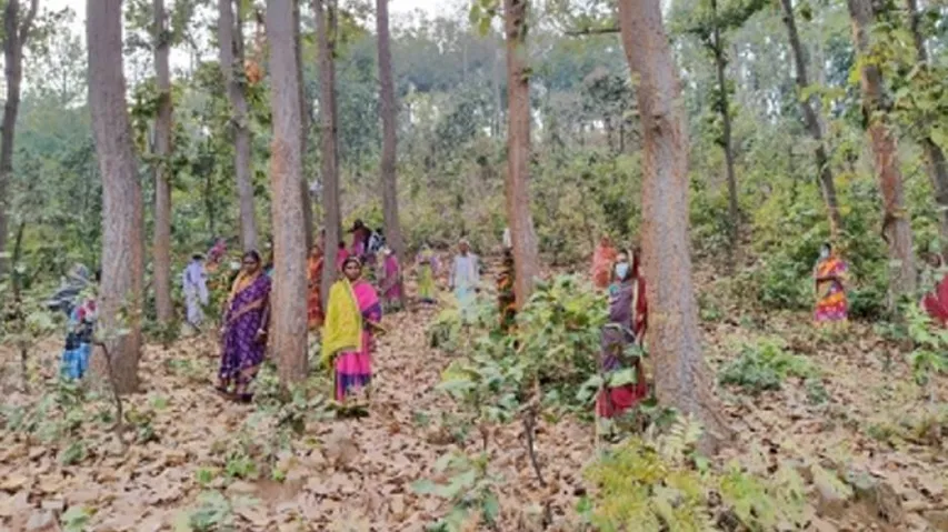 Odisha's Women Green Warriors Leading By Example