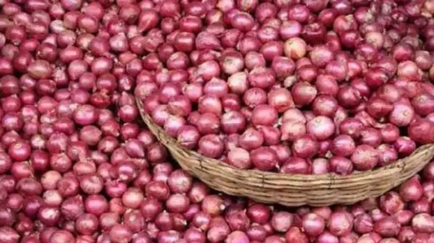 Govt Releasing One Lakh Tonne Of Onion Buffer Stock: Union Minister Tomar