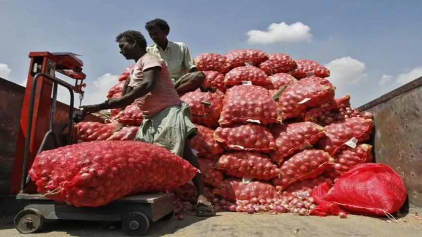 Distress sale of onion affects Kalahandi farmers