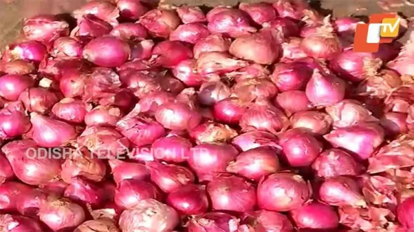 Onion Prices May Drop By Dec End: Odisha Minister
