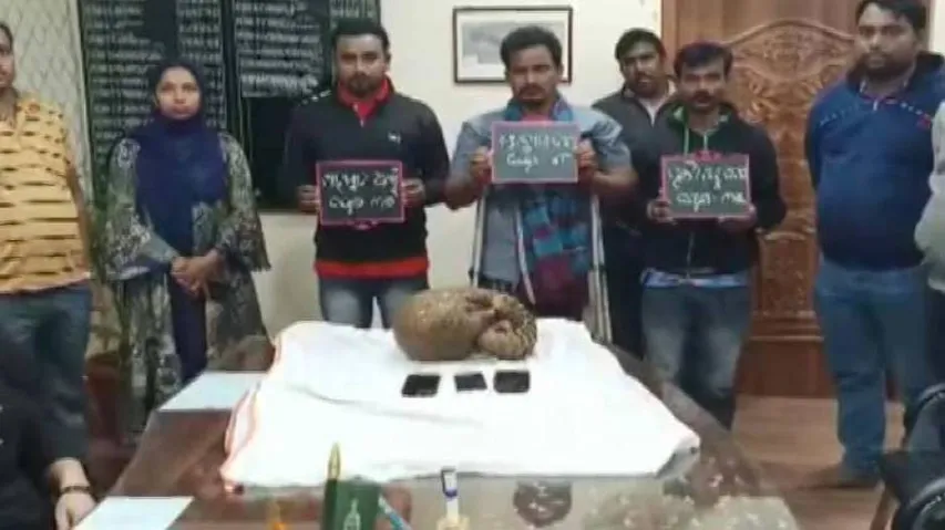 Pangolin Smuggling Racket: 3 Including Kingpin Arrested In Odisha