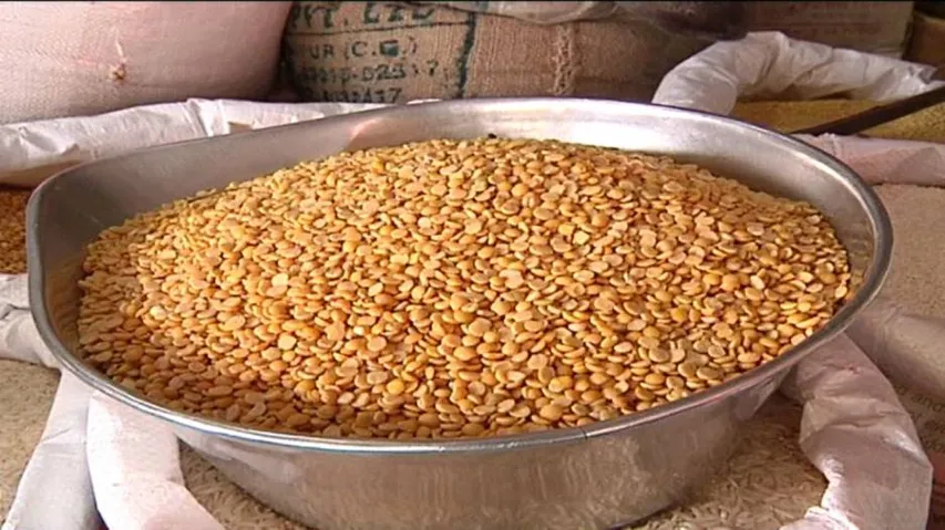 Pulse prices set to come down from today