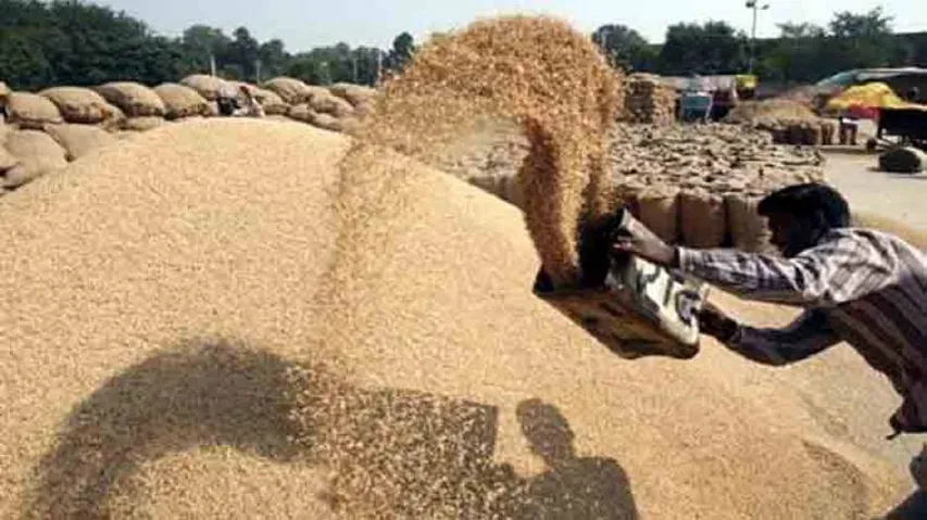 Centre hikes paddy MSP by 3.7 pc to Rs 1,815 per quintal for 2019-20 crop season