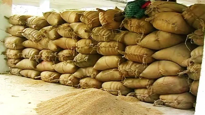 OTV Impact: Odisha extends paddy procurement deadline