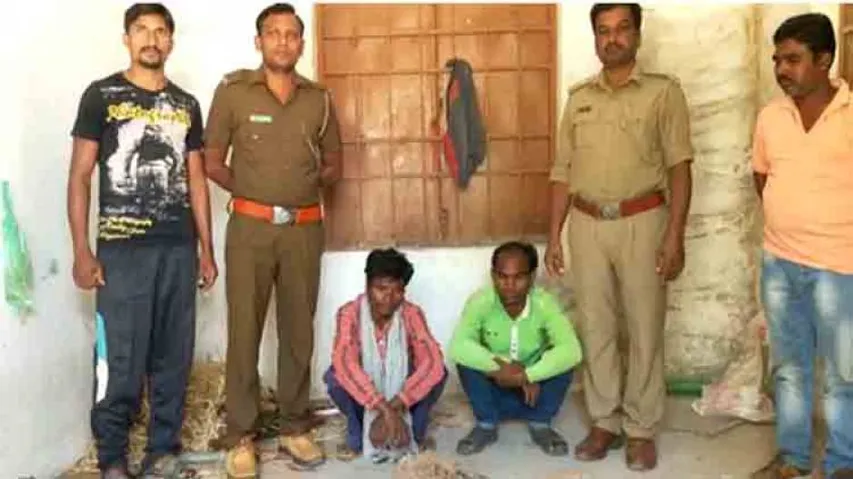 Pangolin smuggling racket busted in Nabrangpur, 2 arrested