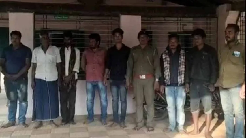 Odisha Forest Dept Busts Online Pangolin Smuggling Racket; 8 Held