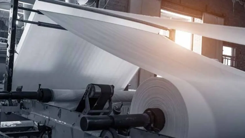 Paper Industry To Capture 25 Pc Market Share Of Rs 80,000 Cr Single Use Plastics By 2025