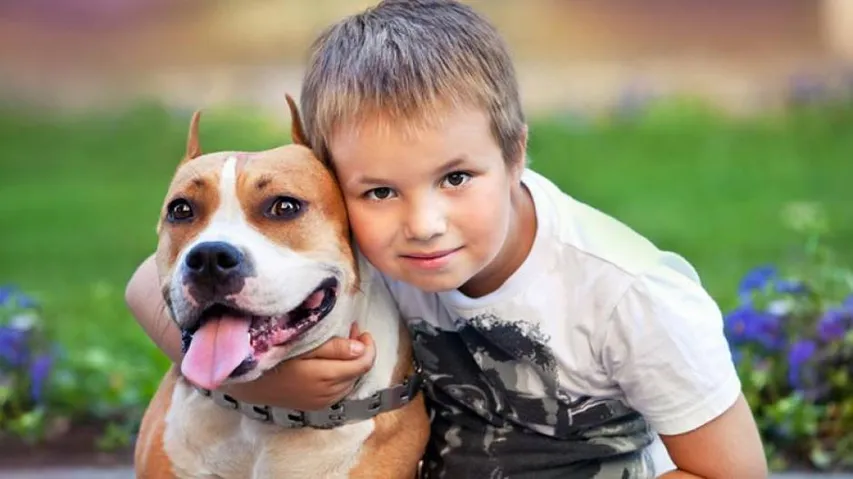 Children face highest biting risk from Pit Bulls