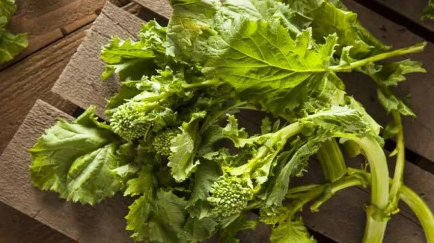 Swapping red meat for plants lead to longer life