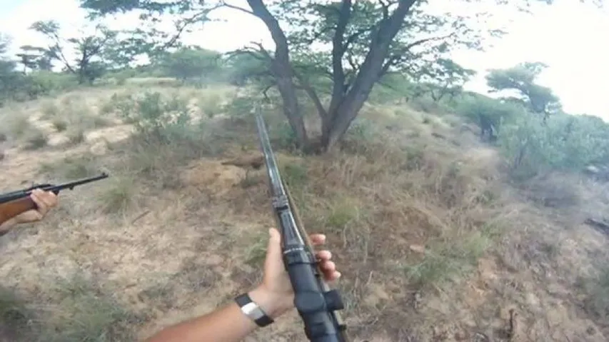 Poacher killed in firing accidentally by poachers