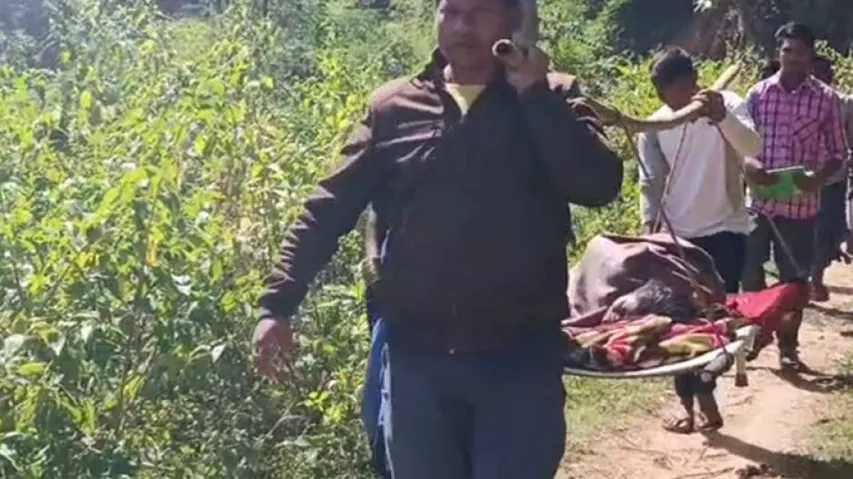 Non-Motorable Roads Haunt Again! Pregnant Woman Carried On Cot For 3 Kms To Hospital In Koraput