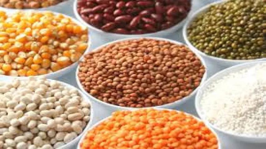 Centre raises MSP for pulses, paddy, cotton; triggers mixed reaction