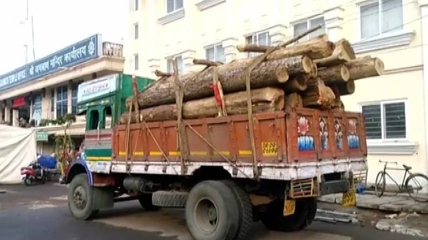 Puri Rath Yatra: In a first, timber for chariots sourced from Boudh