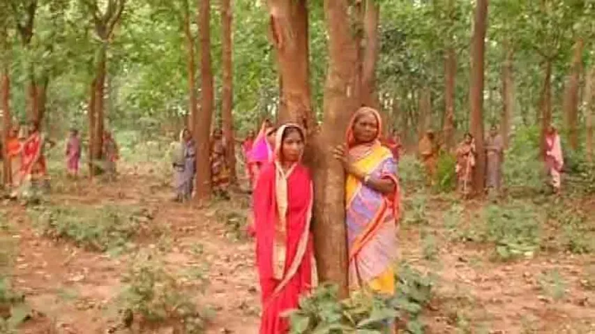 Opposing beer factory, villagers guard trees in Dhenkanal