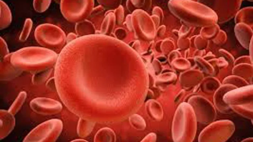Covid Virus May Block Formation Of Key Red Blood Cells