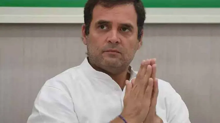 Rahul Pleads Not Guilty In Defamation Suit; Gets Bail